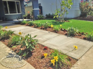 Concrete Walkway Seal Beach California