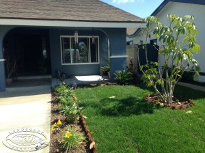 Seal Beach Front Yard Concrete Driveway Tighter