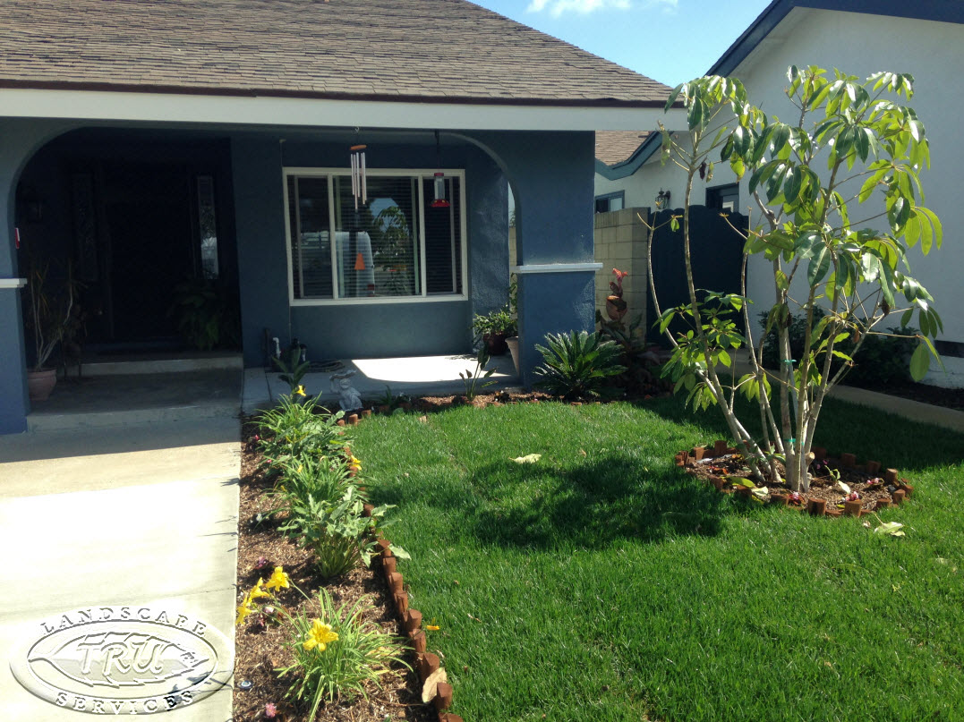 Seal Beach Landscaping