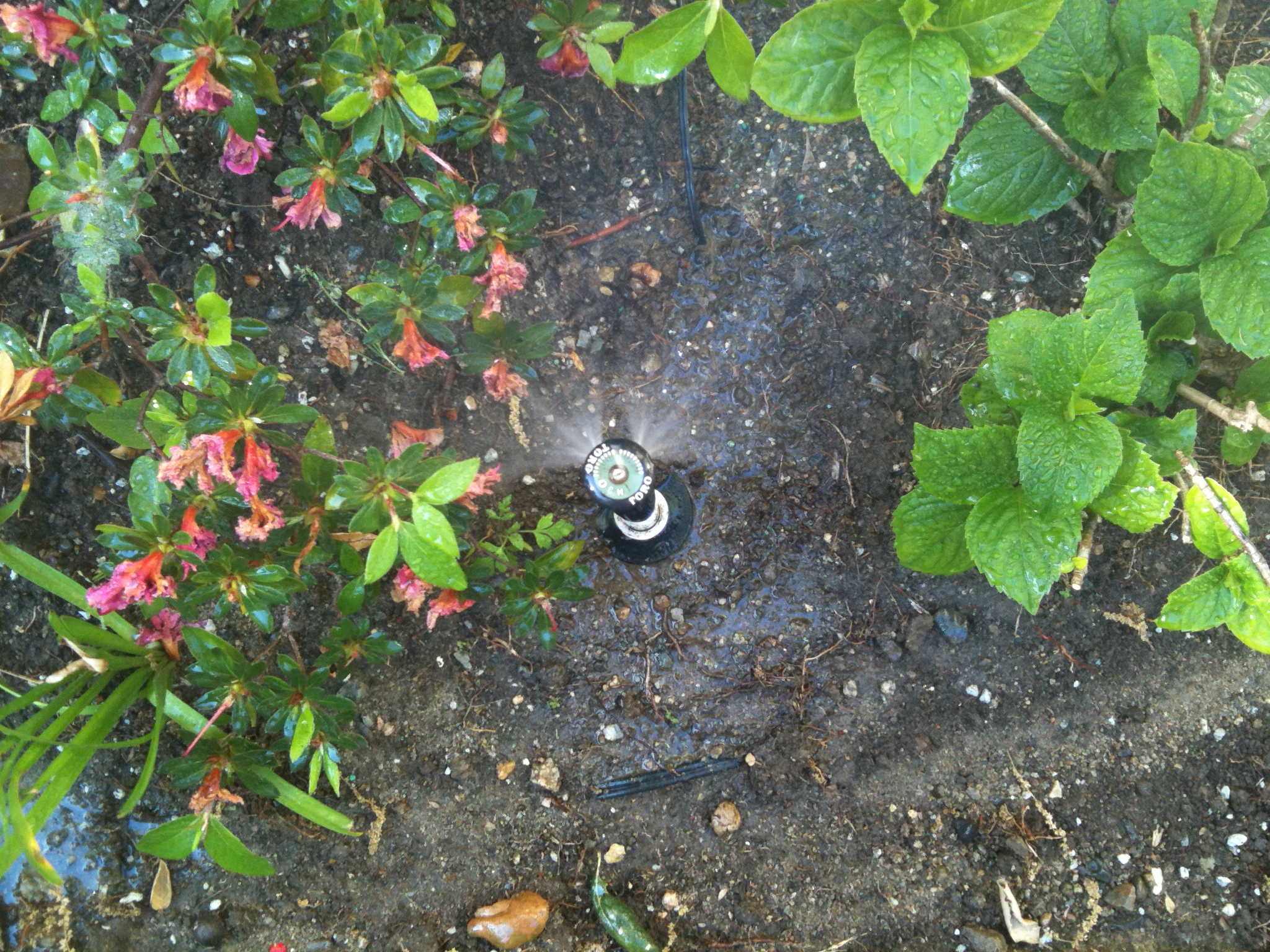 Sprinkler Systems Orange County