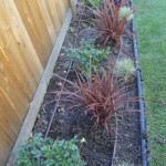 drip line for Orange County landscapes