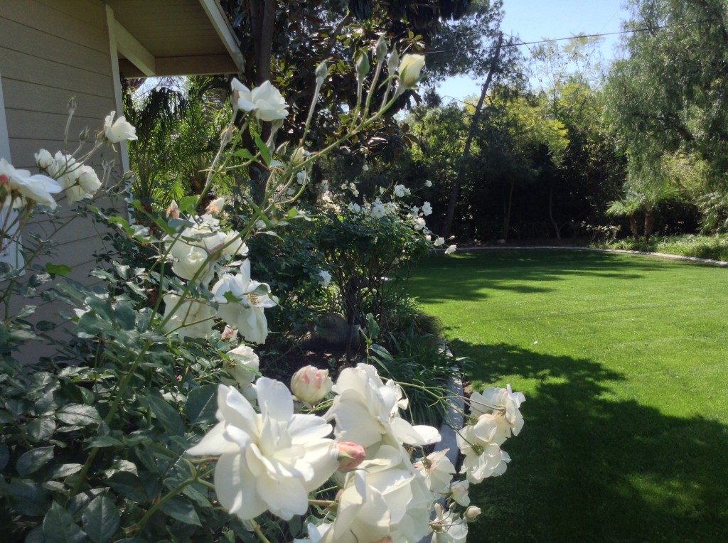 Orange County Landscape Irrigation