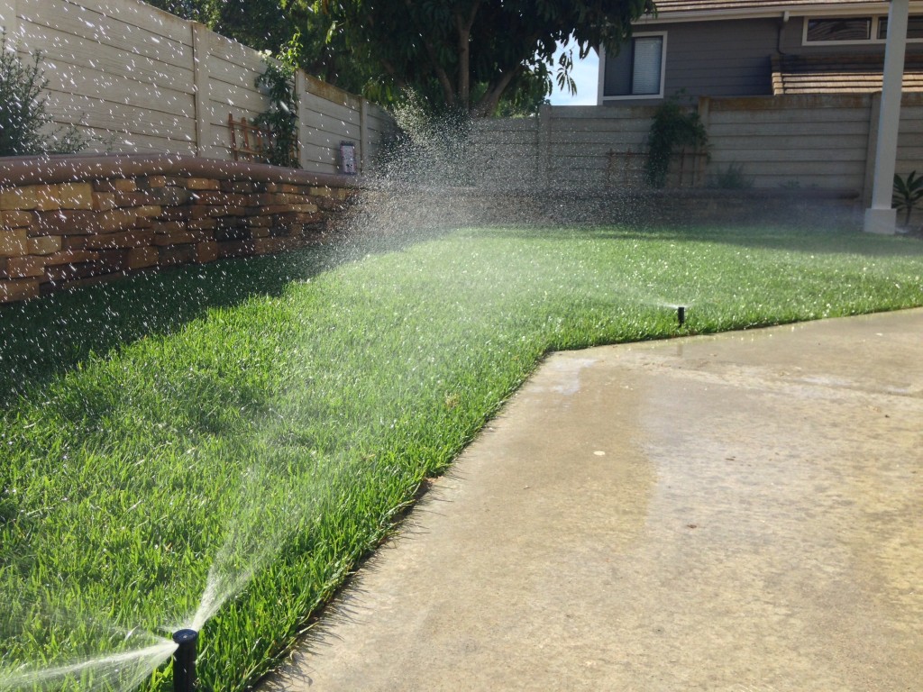 Sprinkler System Installation