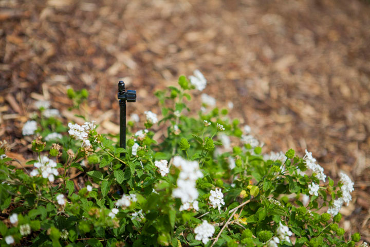 Orange County Drip Irrigation