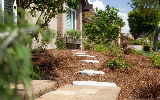 Drought Tolerant Landscape Orange County