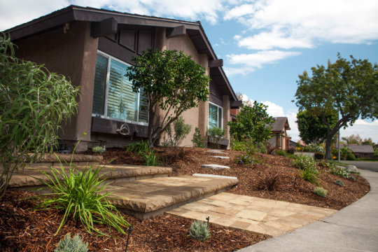 Drought Tolerant Orange County Landscape