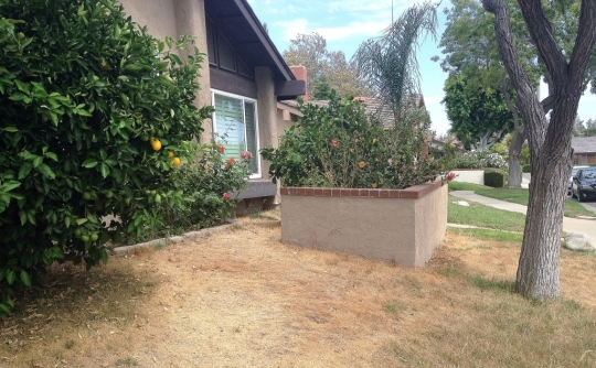 Orange County Drought Tolerant Landscaping Before