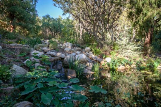 Orange Couunty Pond