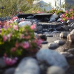 Closeup of Waterfall