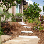 Finished Drought Tolerant Landscape using lantana, day lily, mexican sage and many more (photo credit: TRU Landscape Services)